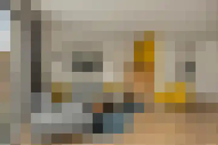 Kwelder 9 Alkmaar thumbnail 17