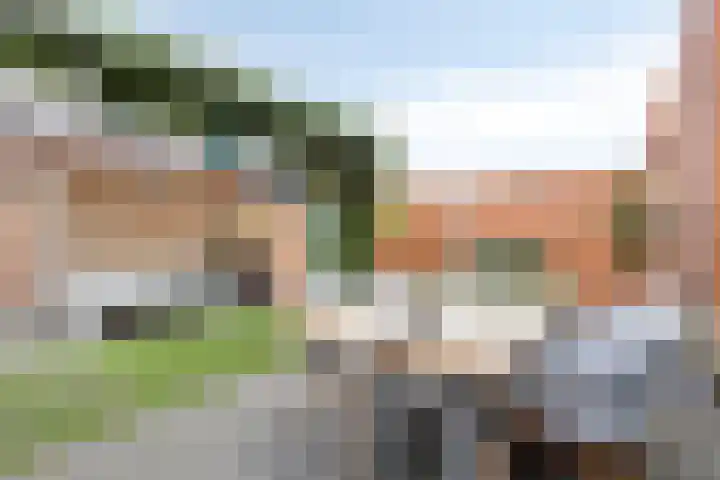 Kwelder 9 Alkmaar thumbnail 19