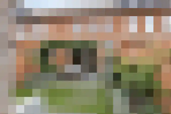 Kwelder 9 Alkmaar thumbnail 21