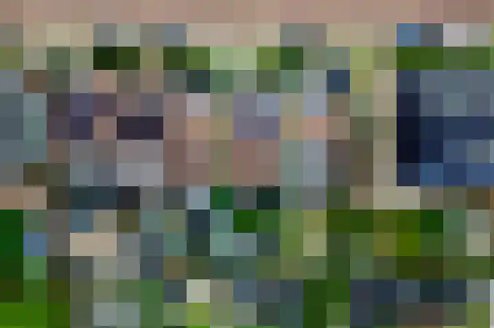 Kwelder 9 Alkmaar thumbnail 23
