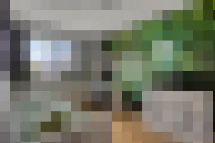 Kwelder 9 Alkmaar thumbnail 30