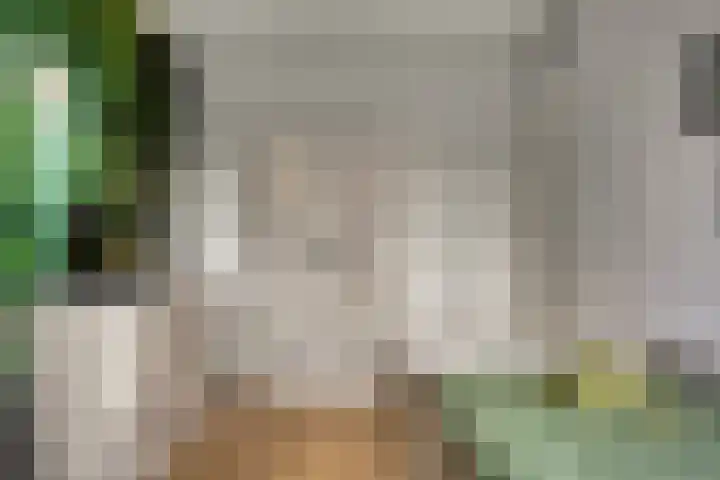 Kwelder 9 Alkmaar thumbnail 31