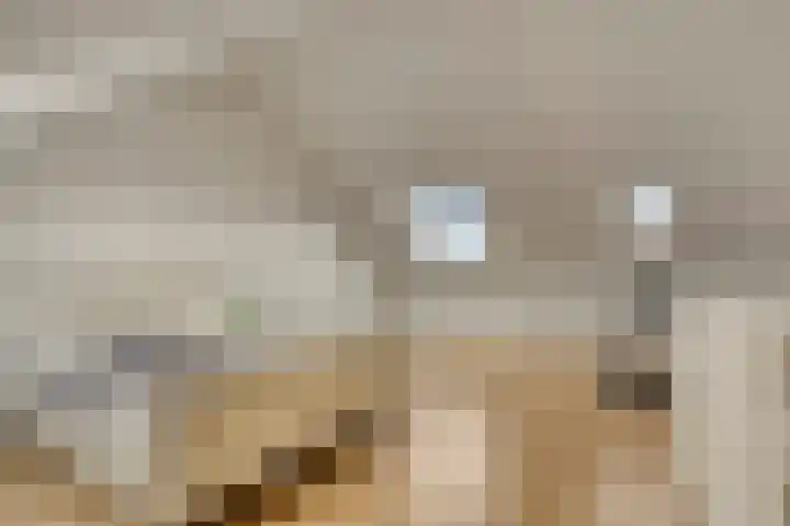 Kwelder 9 Alkmaar thumbnail 34