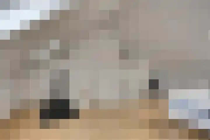 Kwelder 9 Alkmaar thumbnail 35