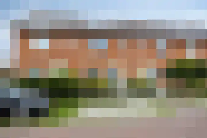 Kwelder 9 Alkmaar thumbnail 36