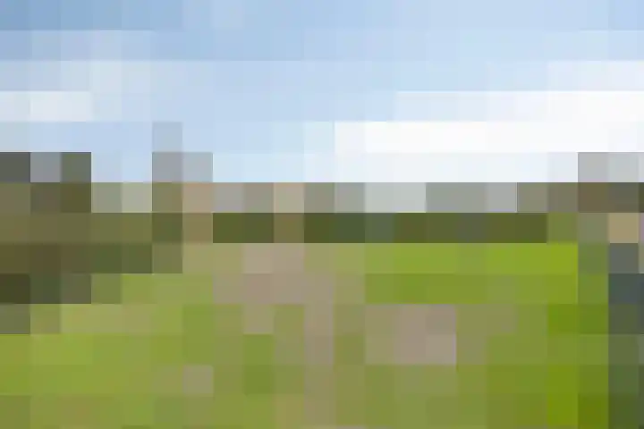 Kwelder 9 Alkmaar thumbnail 38