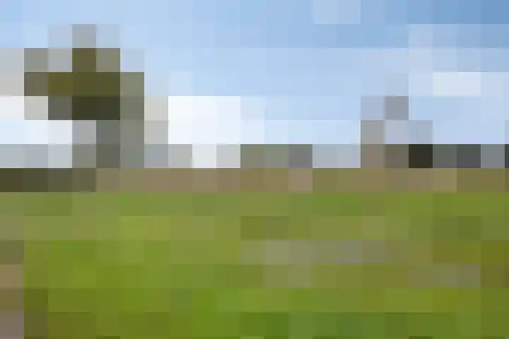 Kwelder 9 Alkmaar thumbnail 39