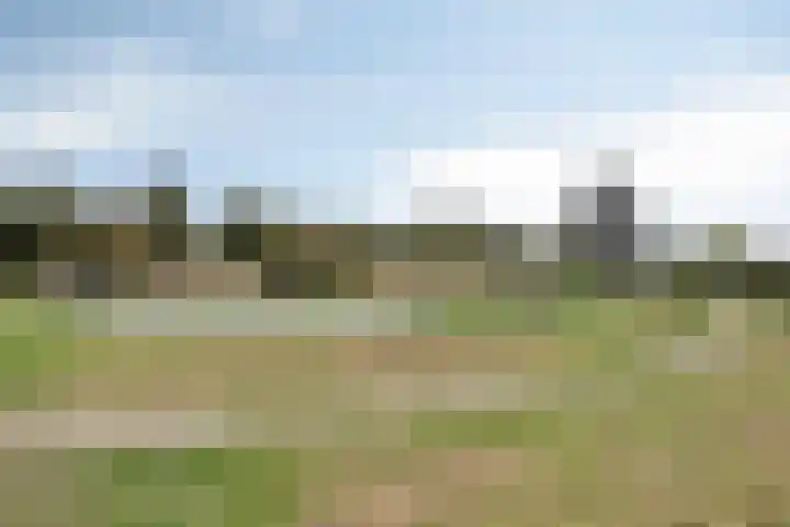 Kwelder 9 Alkmaar thumbnail 40