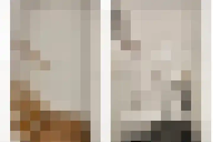 Kwelder 9 Alkmaar thumbnail 8