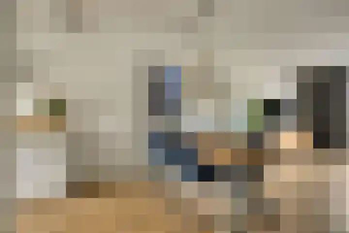 Kwelder 9 Alkmaar thumbnail 9