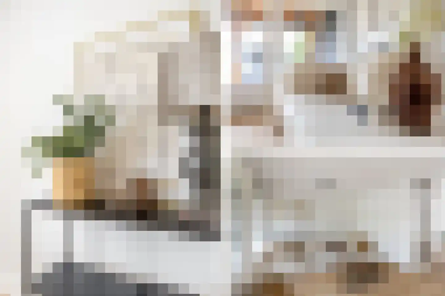 Kweldergras 1 Purmerend thumbnail 11