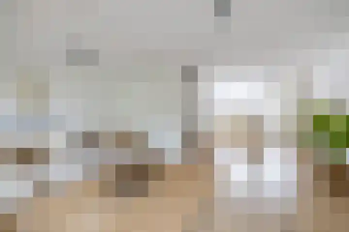 Kweldergras 1 Purmerend thumbnail 12