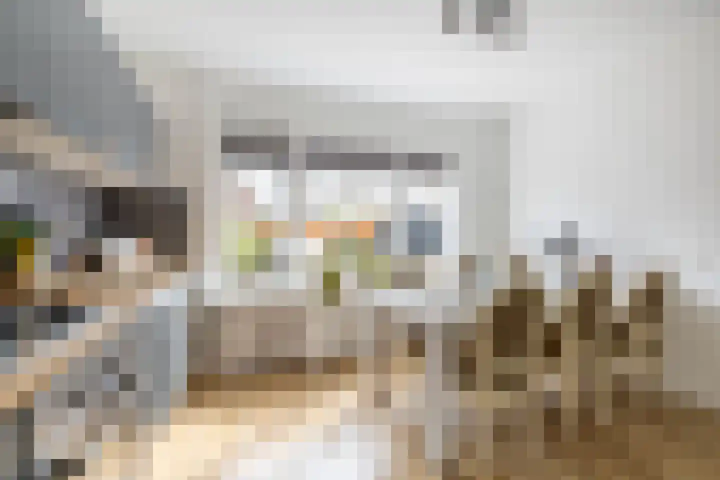 Kweldergras 1 Purmerend thumbnail 16