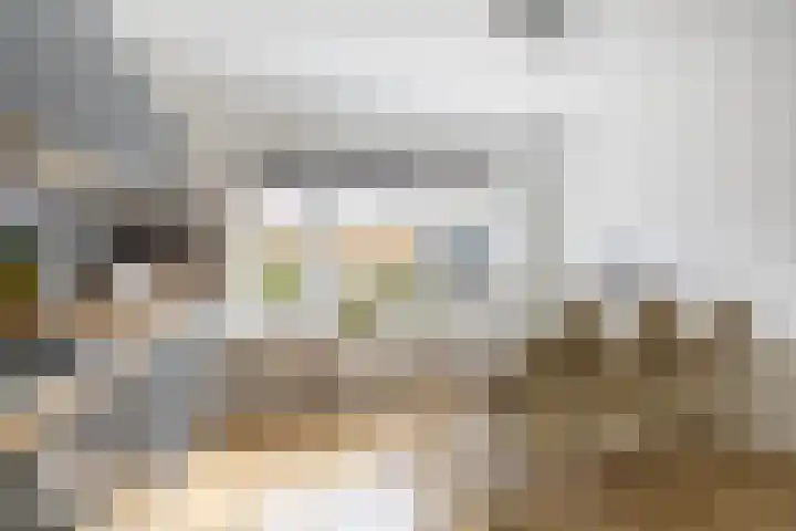 Kweldergras 1 Purmerend thumbnail 16