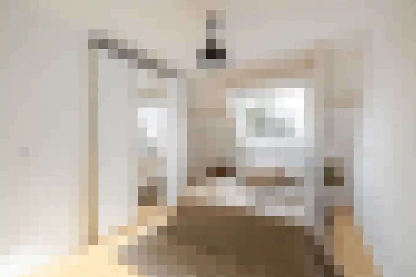 Kweldergras 1 Purmerend thumbnail 20
