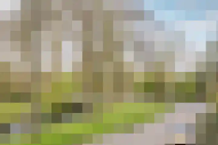 Kweldergras 1 Purmerend thumbnail 24