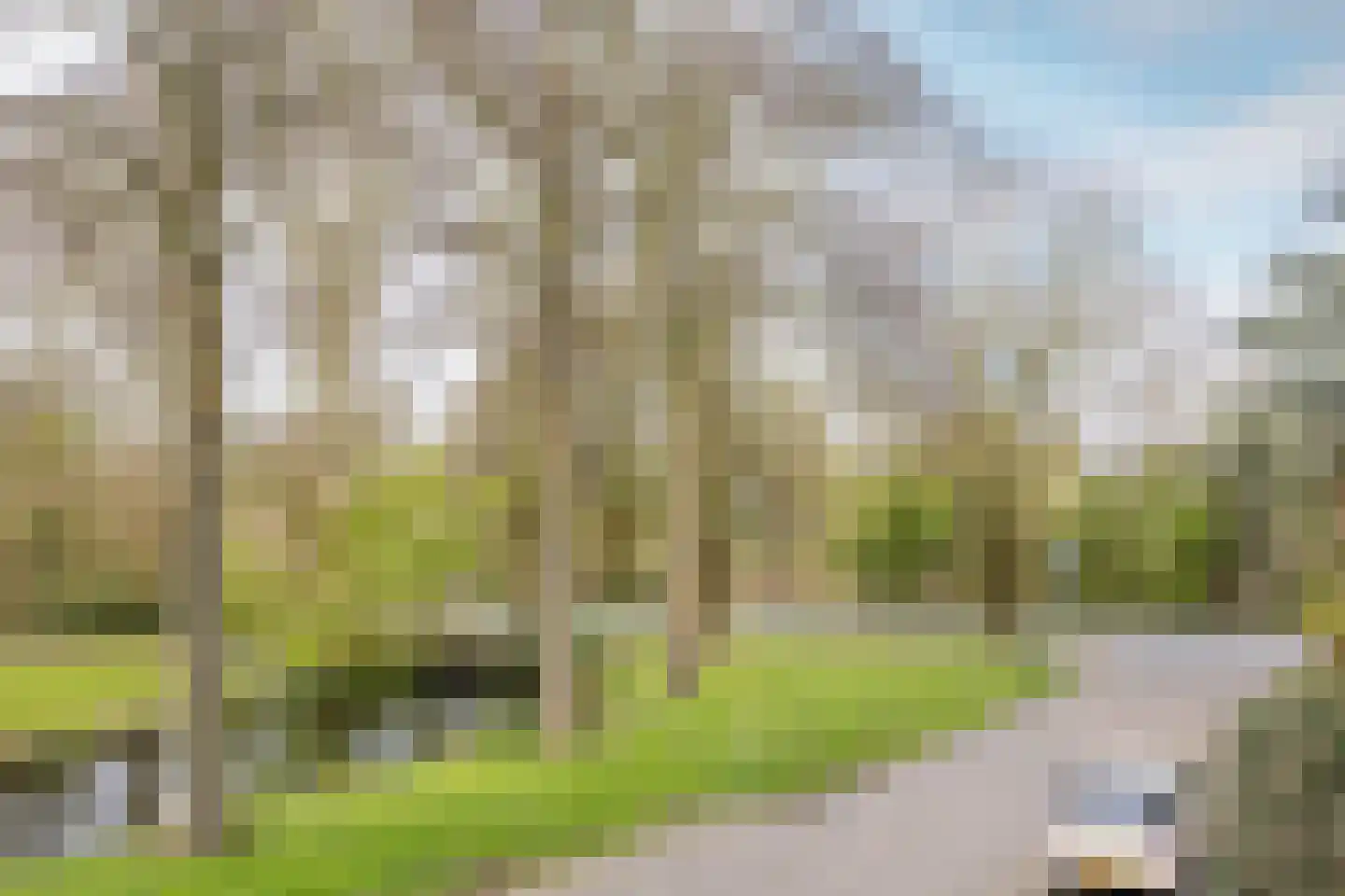 Kweldergras 1 Purmerend thumbnail 24