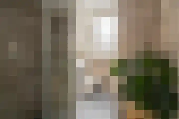 Kweldergras 1 Purmerend thumbnail 27