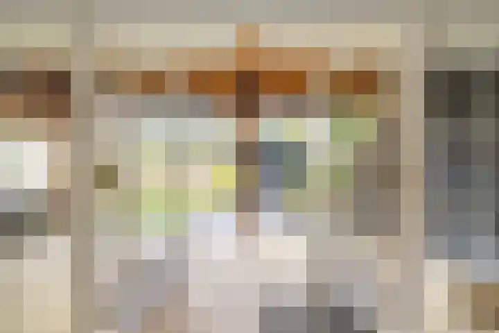 Kweldergras 1 Purmerend thumbnail 30