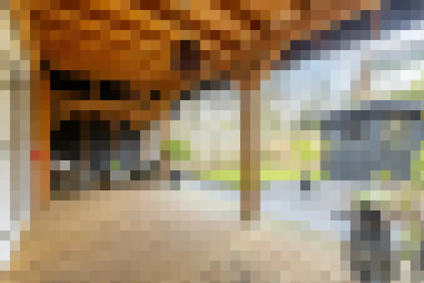 Kweldergras 1 Purmerend thumbnail 31