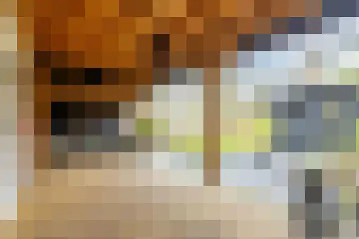 Kweldergras 1 Purmerend thumbnail 31