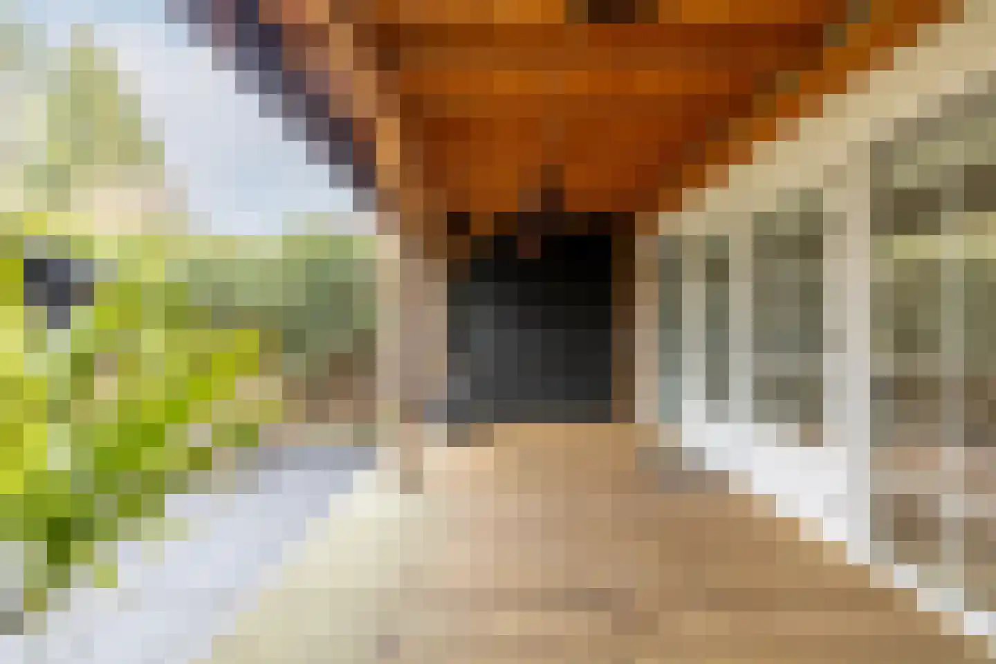 Kweldergras 1 Purmerend thumbnail 32