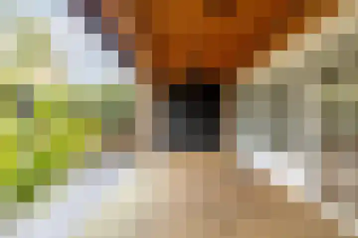 Kweldergras 1 Purmerend thumbnail 32