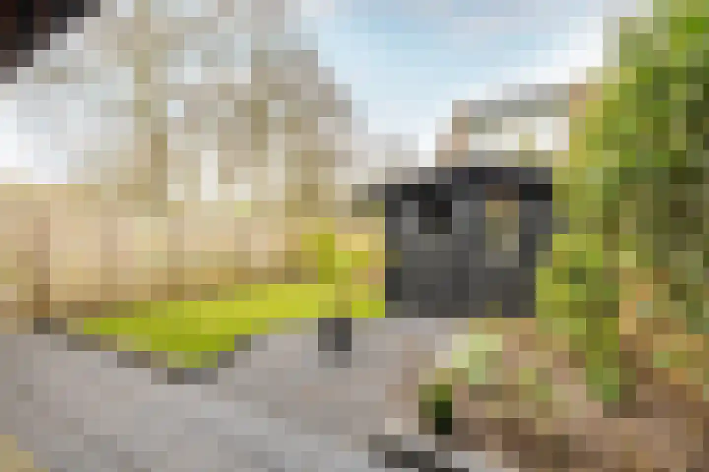 Kweldergras 1 Purmerend thumbnail 33