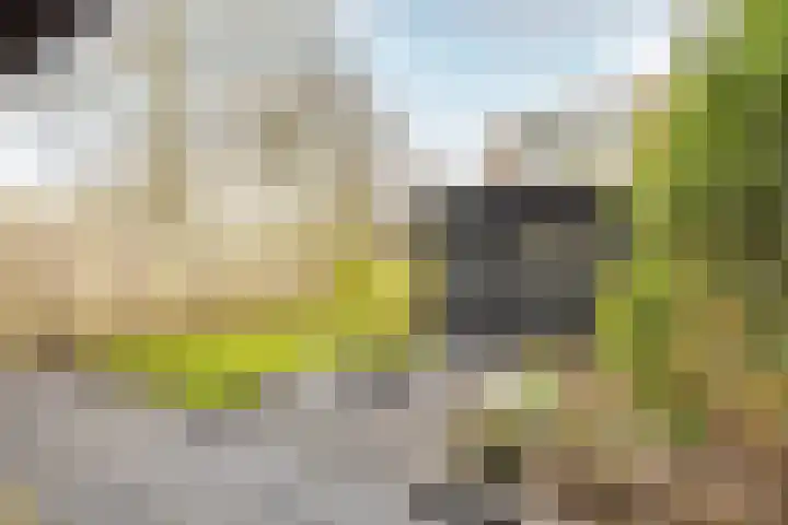 Kweldergras 1 Purmerend thumbnail 33