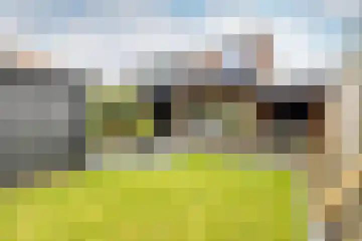 Kweldergras 1 Purmerend thumbnail 35
