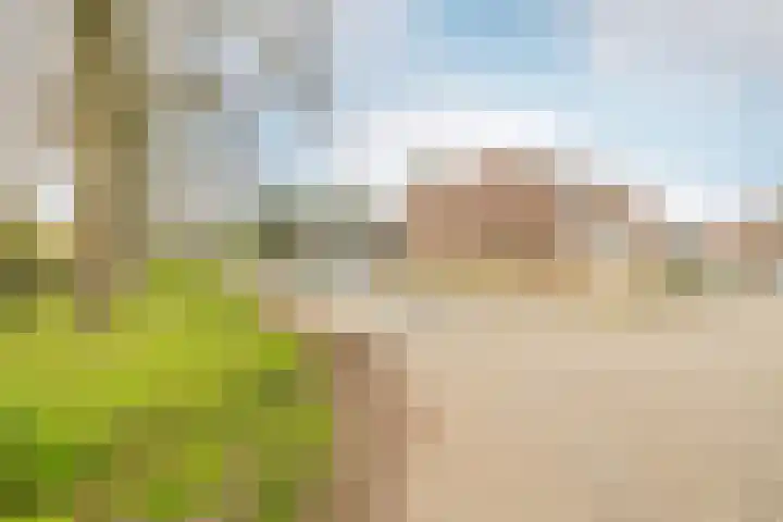 Kweldergras 1 Purmerend thumbnail 36