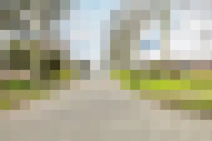 Kweldergras 1 Purmerend thumbnail 37