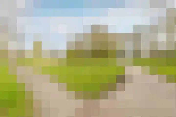 Kweldergras 1 Purmerend thumbnail 38