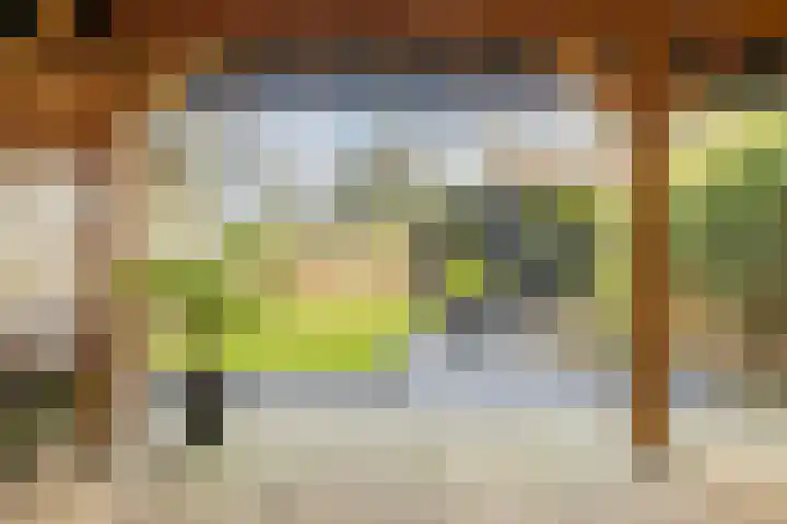 Kweldergras 1 Purmerend thumbnail 4