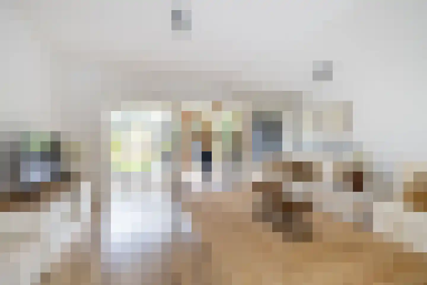 Kweldergras 1 Purmerend thumbnail 9