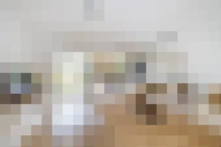 Kweldergras 1 Purmerend thumbnail 9