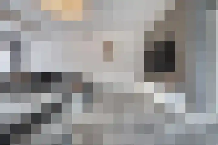 Kweldergras 15 Spijkenisse thumbnail 15