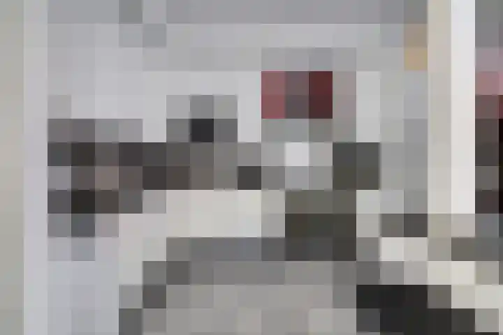Kweldergras 15 Spijkenisse thumbnail 17