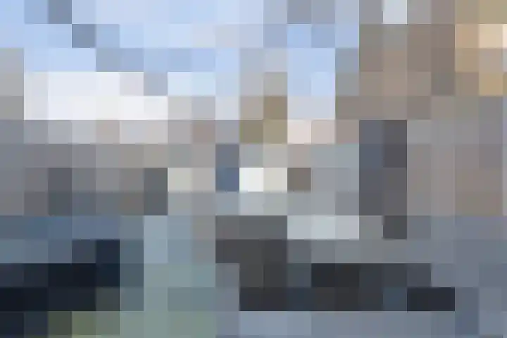 Kweldergras 15 Spijkenisse thumbnail 27