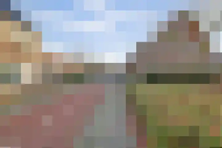 Kweldergras 15 Spijkenisse thumbnail 29