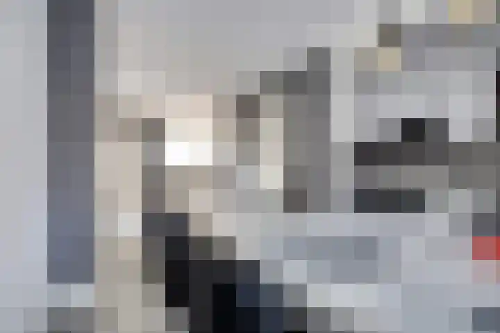 Kweldergras 15 Spijkenisse thumbnail 6