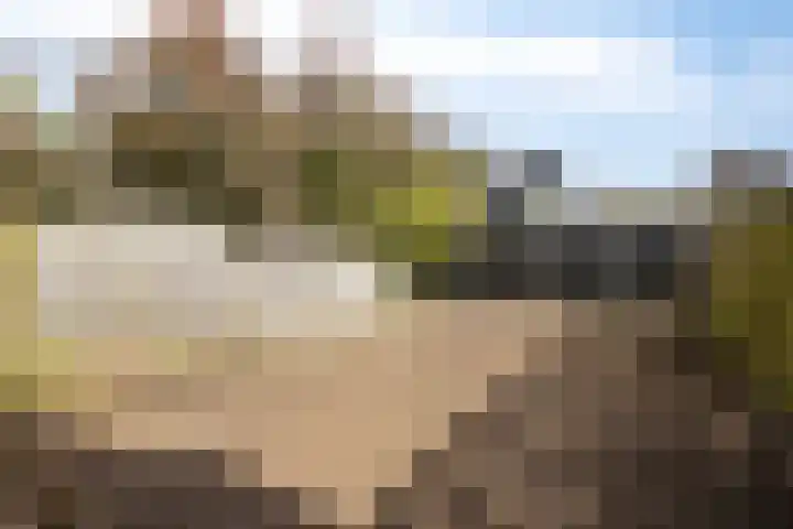 Kweldergras 24 Purmerend thumbnail 26