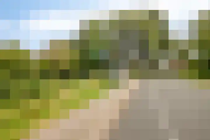 Kweldergras 24 Purmerend thumbnail 30