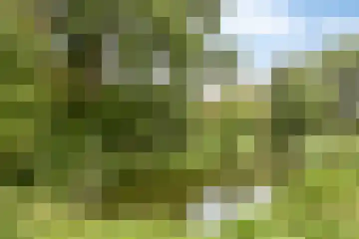Kweldergras 24 Purmerend thumbnail 31