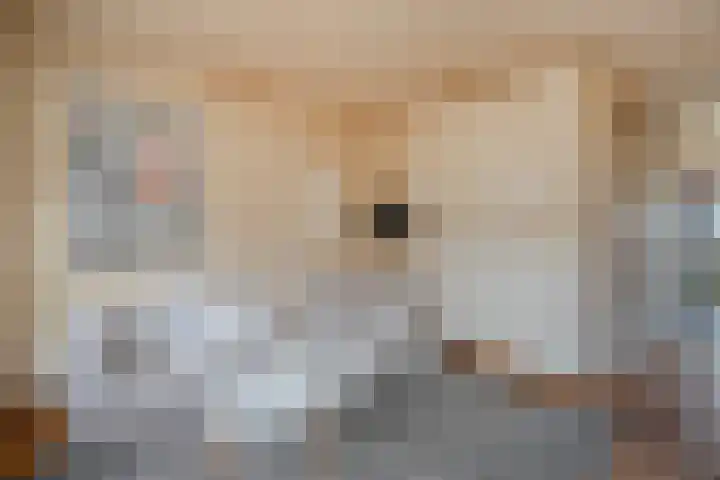 Kweldergras 24 Purmerend thumbnail 9