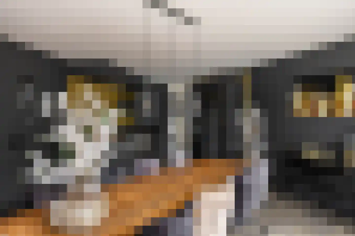Kweldergras 3 a Groningen thumbnail 14