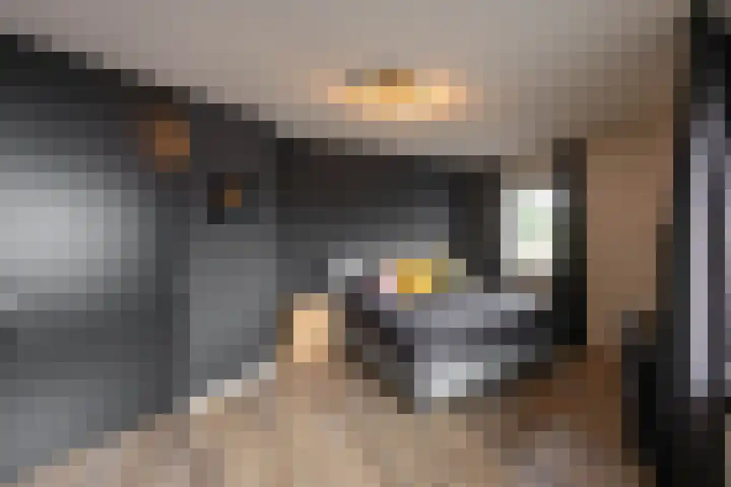 Kweldergras 3 a Groningen thumbnail 36