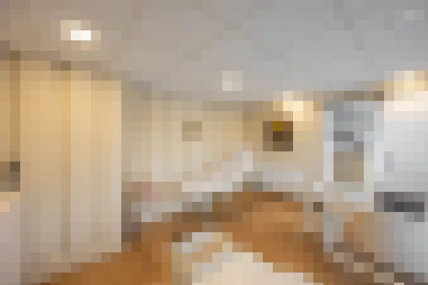 Kweldergras 3 a Groningen thumbnail 4