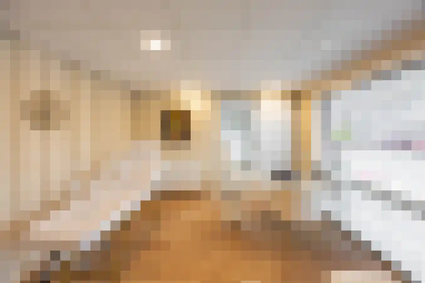 Kweldergras 3 a Groningen thumbnail 50