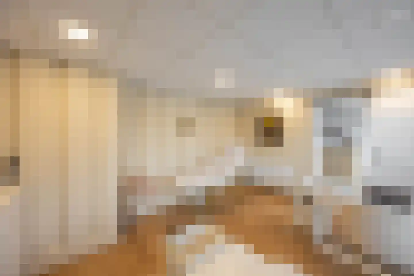 Kweldergras 3 a Groningen thumbnail 51